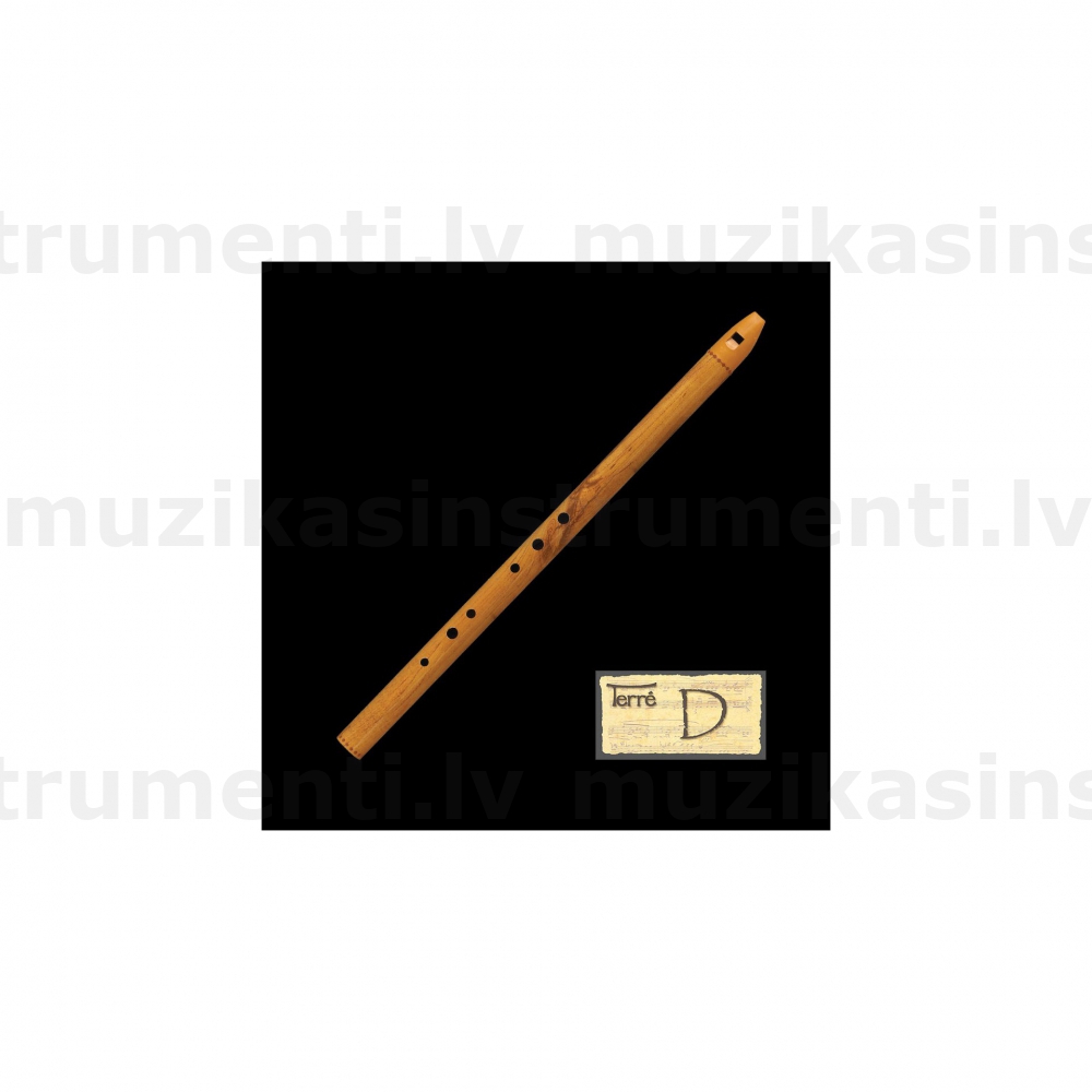 Irish whistle Note D
