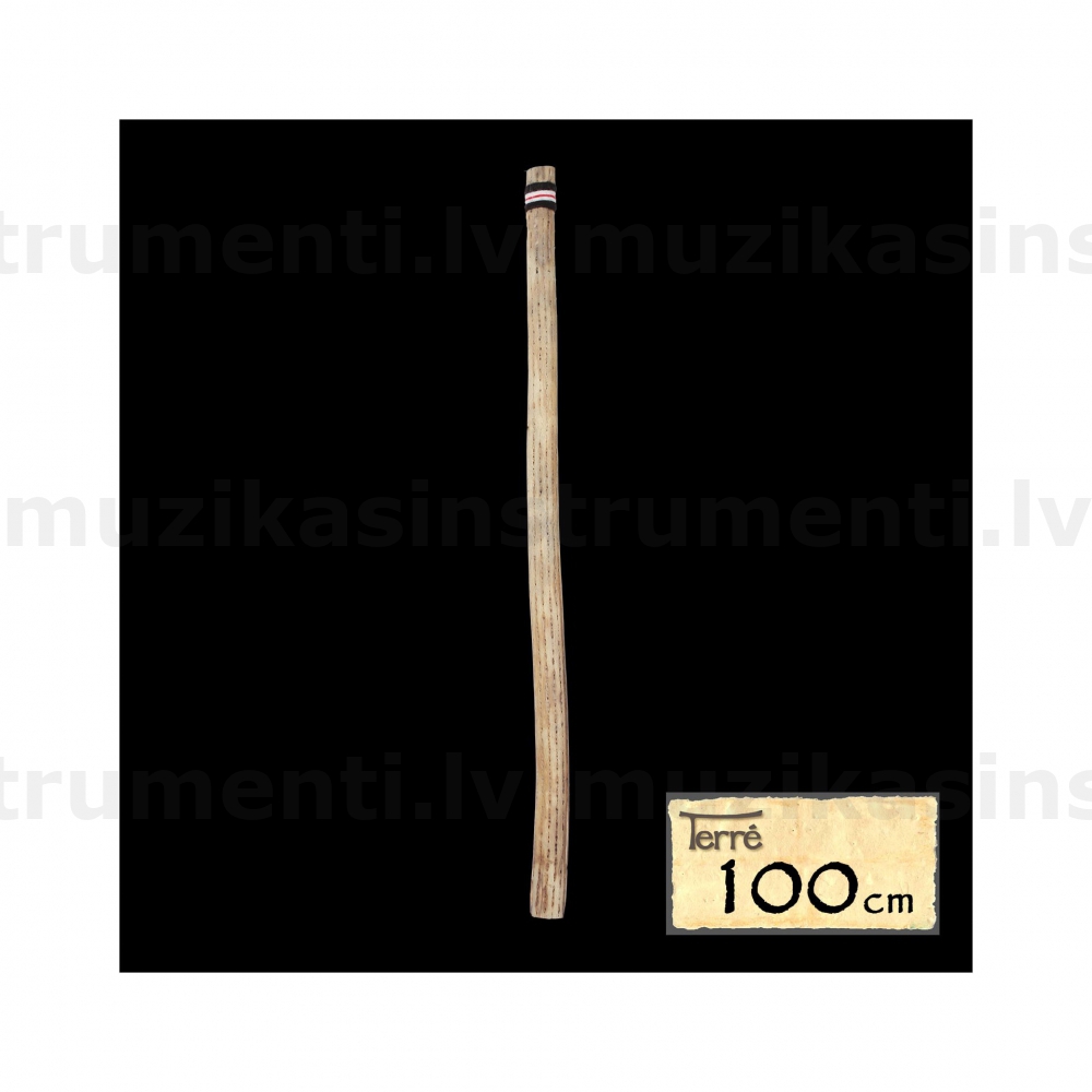 Terre kaktusa lietuskoks S-100