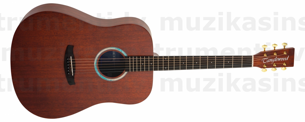 Tanglewood TE5BL