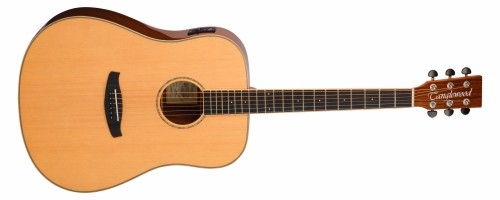 Tanglewood TRX5E