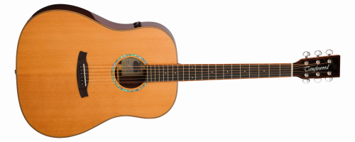 Tanglewood TRS5SE