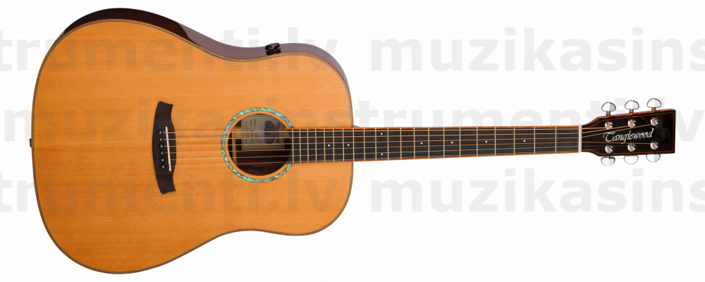 Tanglewood TRS5SE
