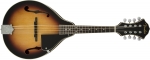 Bluegrass instrumenti