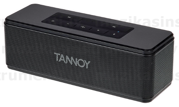 Tannoy Live Mini