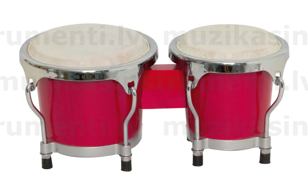 Goldon Bongo 38005