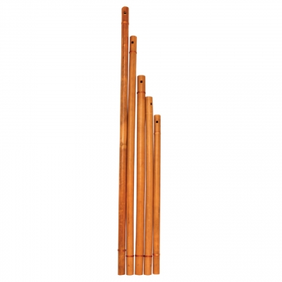 Vjetnamiešu virsskaņas flautas