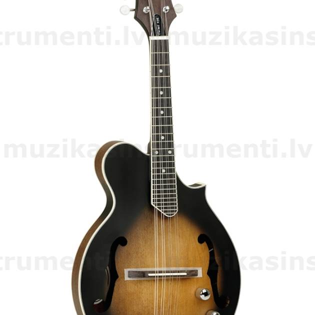 Taglewood TWM F VS E mandolīna