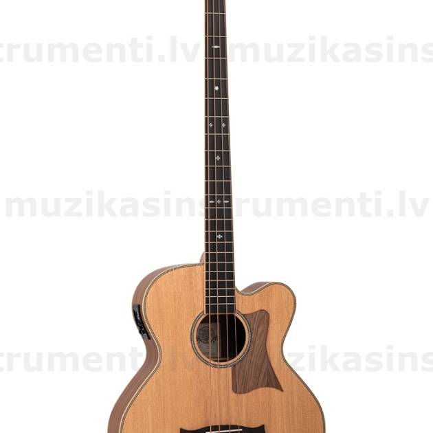 Tanglewood TRAB BW