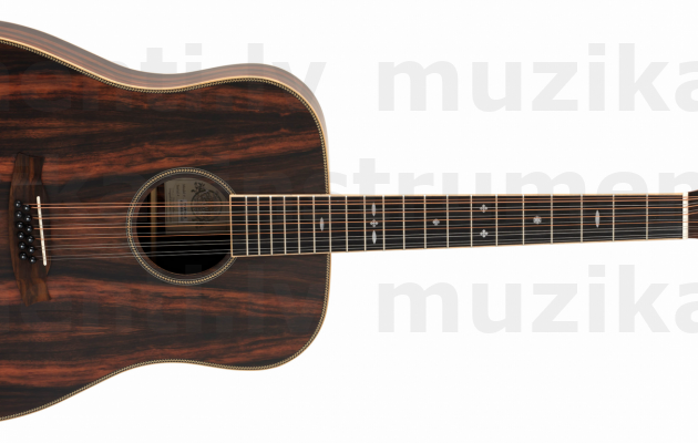 Tanglewood TRU512AE elektro akustiskā divapademsit stīgu ģitāra