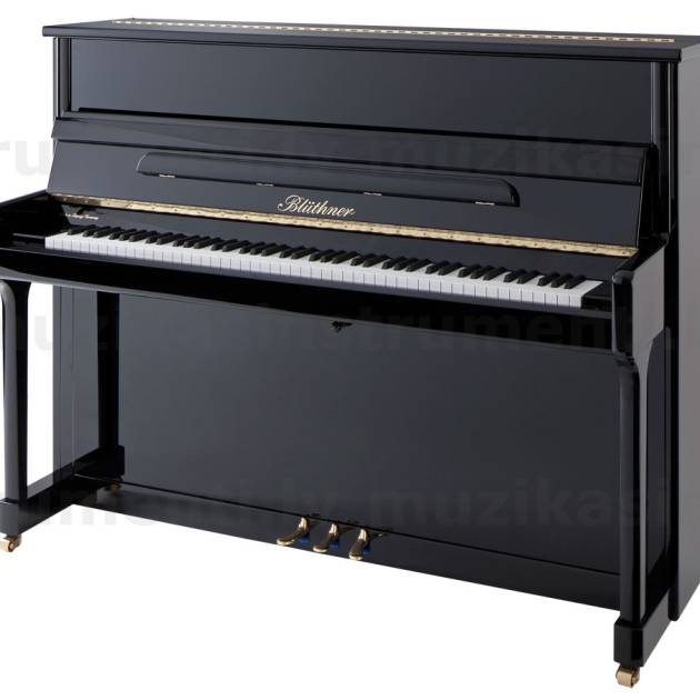 Blüthner Model C