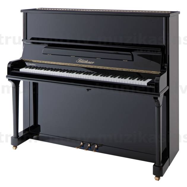 Blüthner Model B