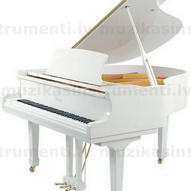 Blüthner Irmler F160 Studio Flīģelis