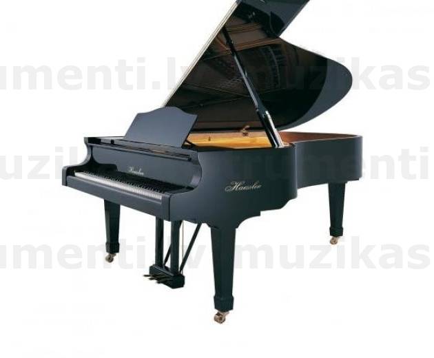 Blüthner Haessler H210 Flīģelis