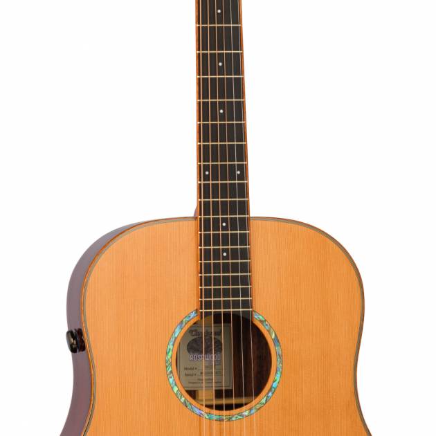 Tanglewood TRS5SE elektro akustiskā ģitāra